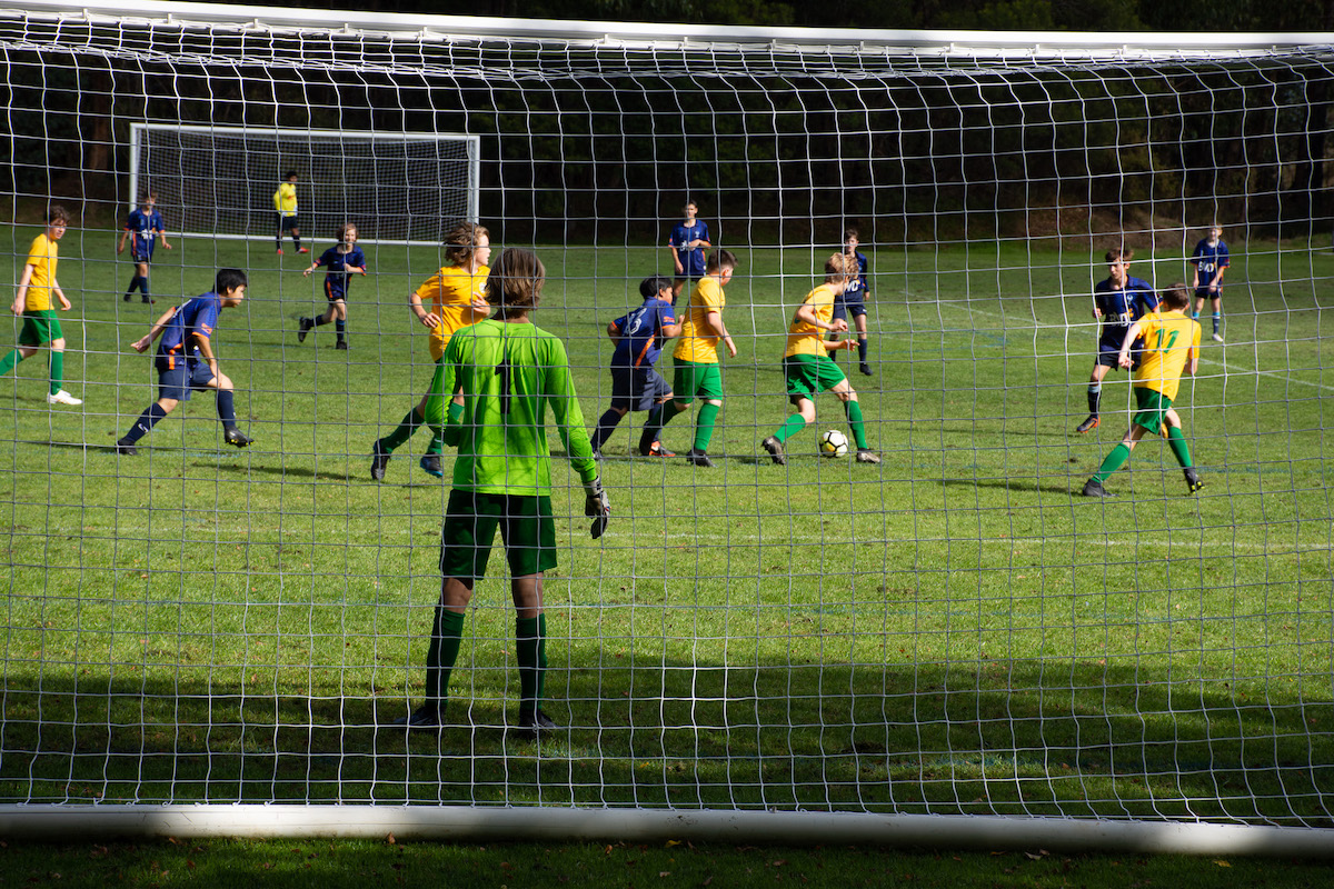 Photo of a soccer match